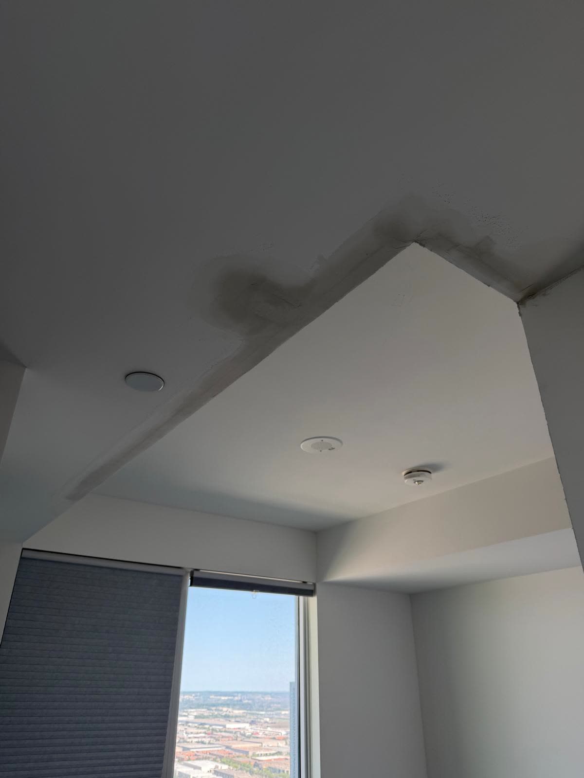 Ceiling Painting work in progress